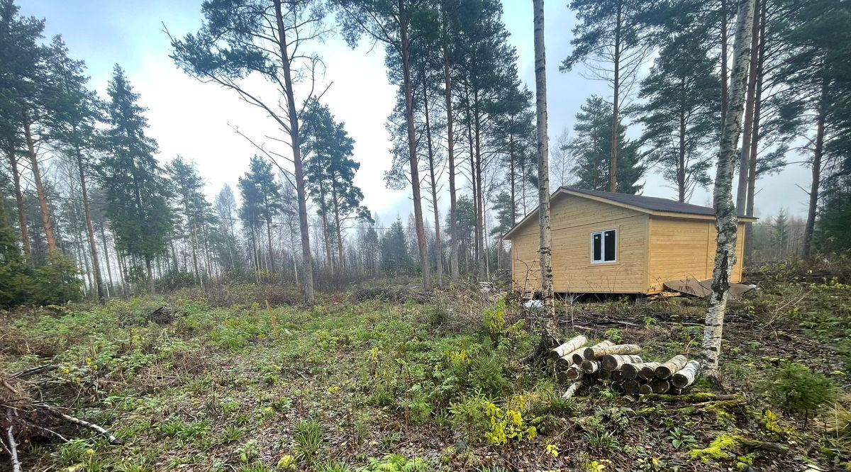 дом р-н Тосненский снт Нева Рябовское городское поселение, 53, Рябово садоводческий массив фото 16