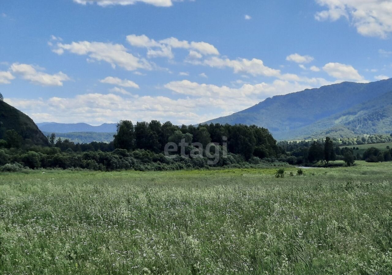 земля р-н Алтайский с Алтайское фото 6