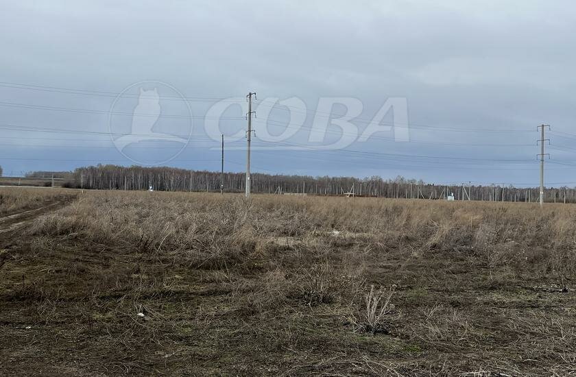 земля р-н Тюменский д Большие Акияры фото 1