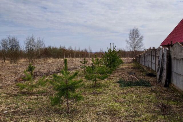 садовое товарищество Борщевщина фото