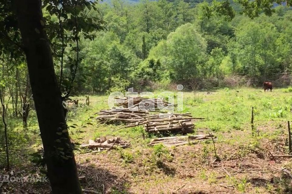 земля г Геленджик с Михайловский Перевал Геленджик городской округ, природный парк Маркотх фото 1