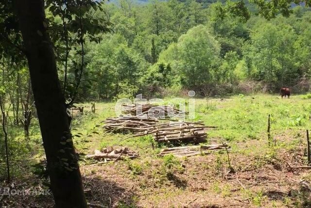 Геленджик городской округ, природный парк Маркотх фото