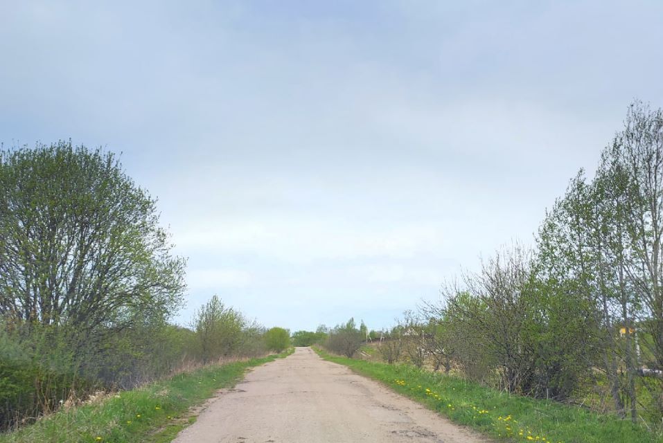 земля р-н Смоленский д Замятлино ул Малиновая фото 1