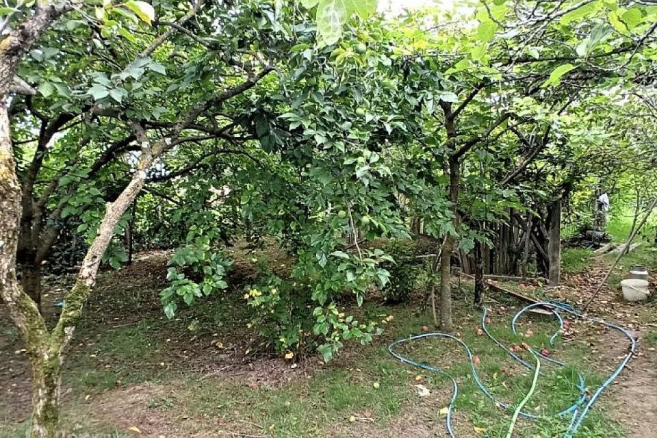 земля городской округ Сочи, село Нижняя Шиловка, Сормовская улица, 30 фото 3