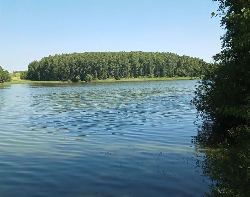 земля р-н Смоленский д Замятлино ул Малиновая фото 2