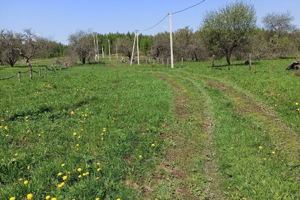 земля р-н Смоленский Сумароково фото 4