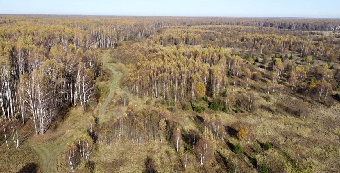 земля городской округ Чехов 54 км, коттеджный пос. Филипповское, Симферопольское шоссе фото 4