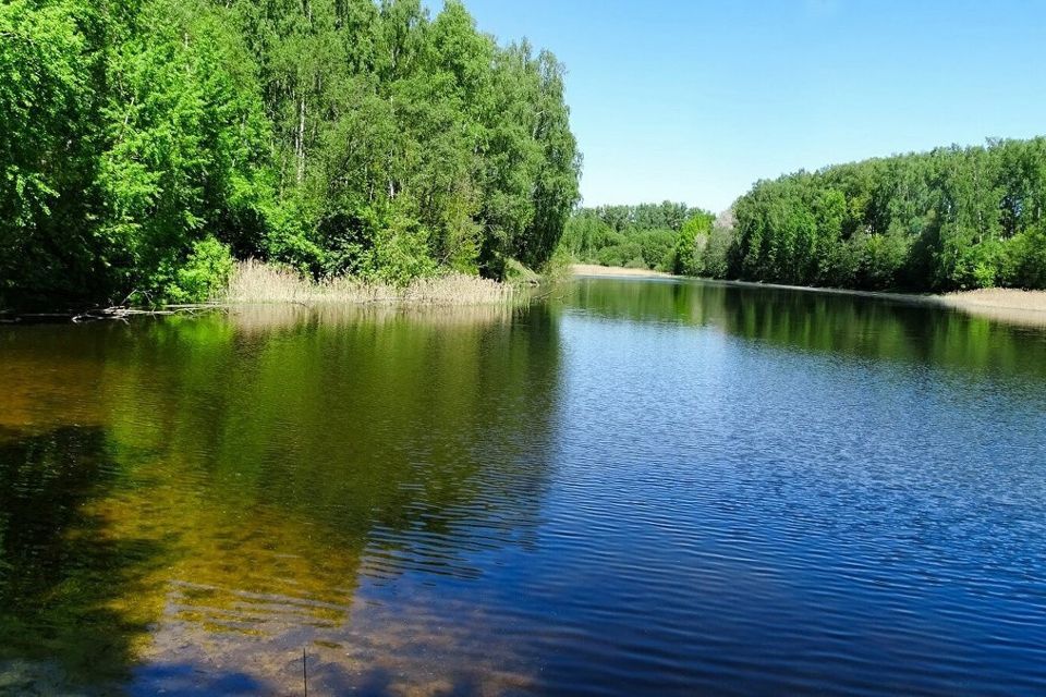 земля р-н Смоленский д Замятлино ул Малиновая фото 9