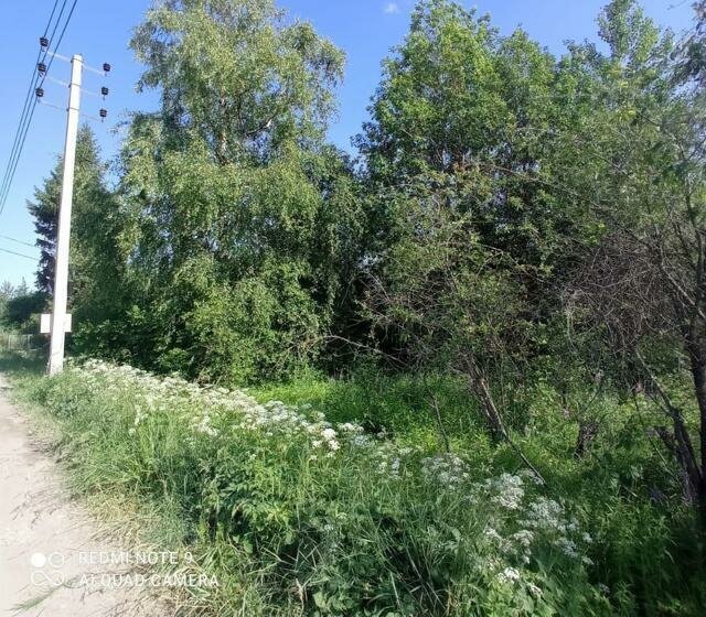 земля р-н Ломоносовский д Пигелево ул Северная Аннинское городское поселение фото 2