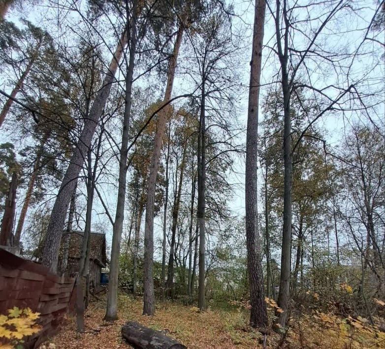 земля городской округ Дмитровский рп Деденево 11 фото 3