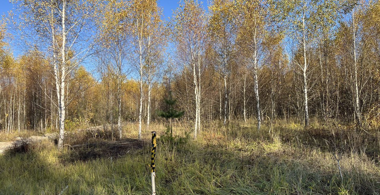 земля городской округ Серпухов д Тульчино 83 км, Пущино, Симферопольское шоссе фото 7