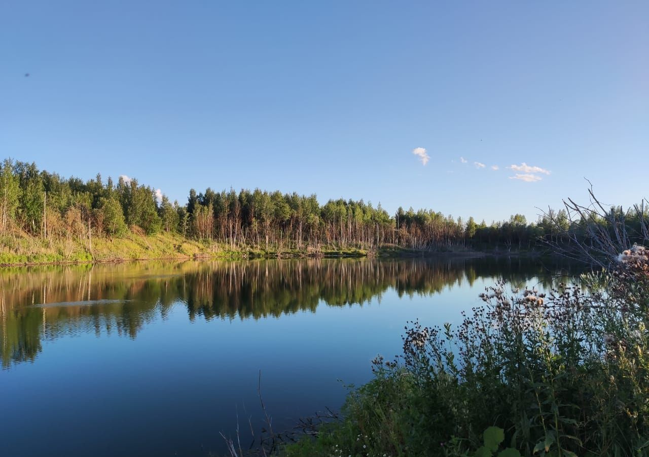 земля городской округ Истра д Ремянники ул Ореховая 9782 км, Руза, Новорижское шоссе фото 6