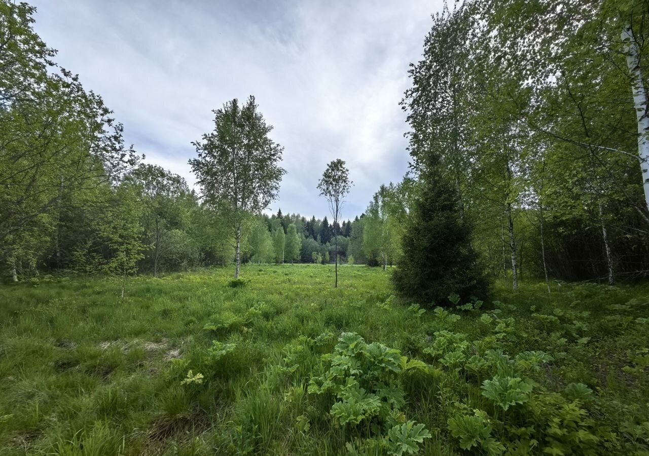 земля направление Курское (юг) ш Калужское 9745 км, Краснопахорский р-н, ДНП Европейская Долина-2, 3-й Двинский пер, Москва, Троицк, Троицкий административный округ фото 3