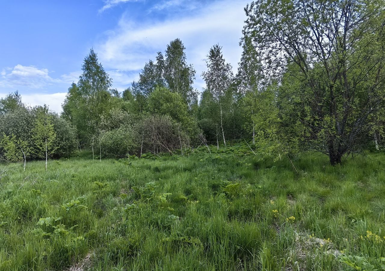 земля направление Курское (юг) ш Калужское 9745 км, Краснопахорский р-н, ДНП Европейская Долина-2, 3-й Двинский пер, Москва, Троицк, Троицкий административный округ фото 9