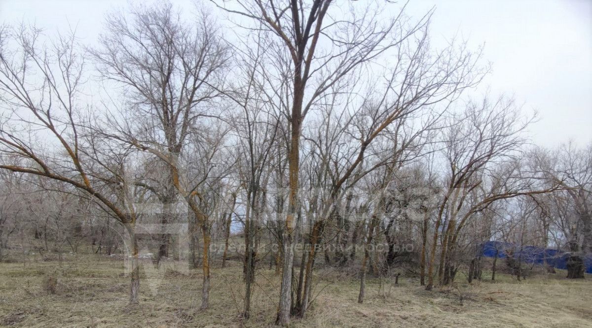 земля г Волгоград п 19 партсъезда р-н Красноармейский тер. фото 3