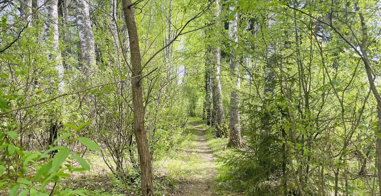 земля городской округ Истра п Глебовский 47 км, пос. Новая жизнь Истра, г. о. Истра, Пятницкое шоссе фото 8