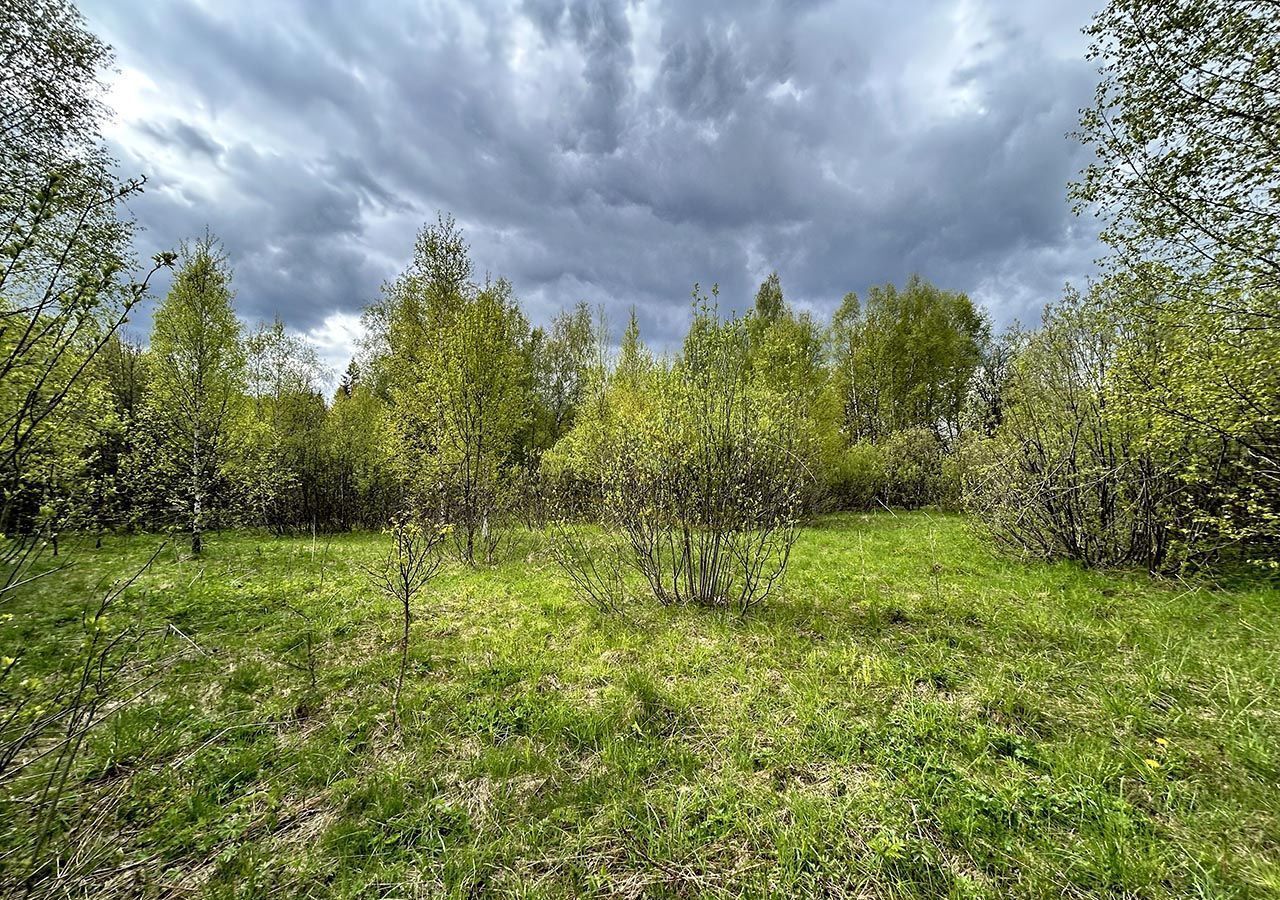 земля городской округ Дмитровский д Пески 35 км, Солнечногорск, Рогачёвское шоссе фото 1