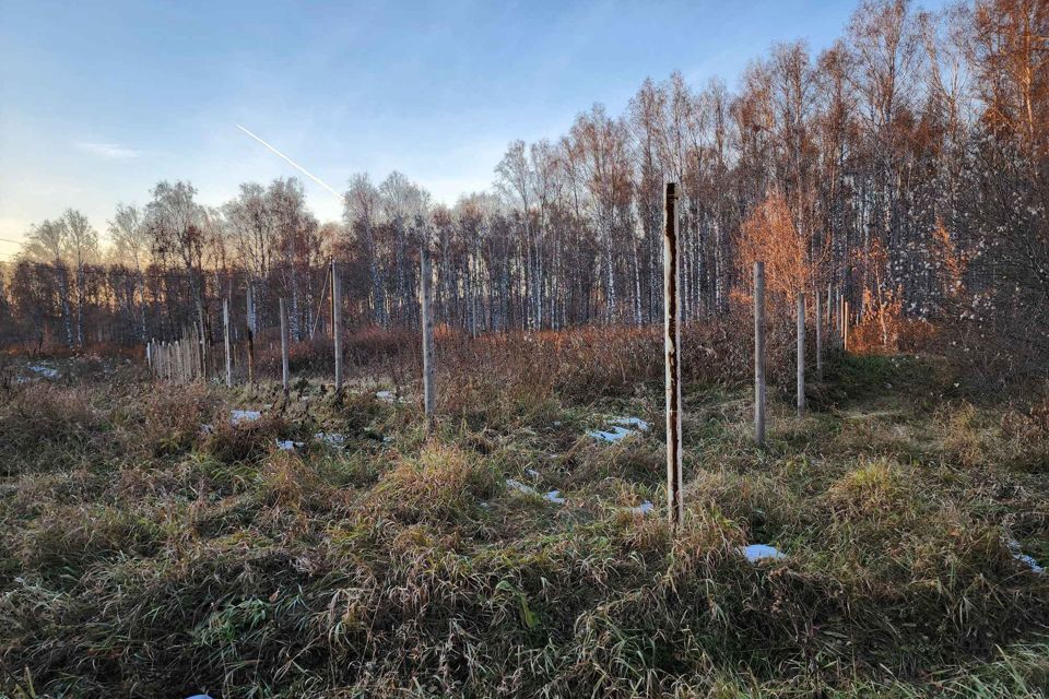 земля р-н Сосновский п Томинский ул Солнечная 24 фото 1