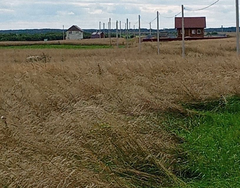 земля р-н Смоленский деревня Бобыри фото 4