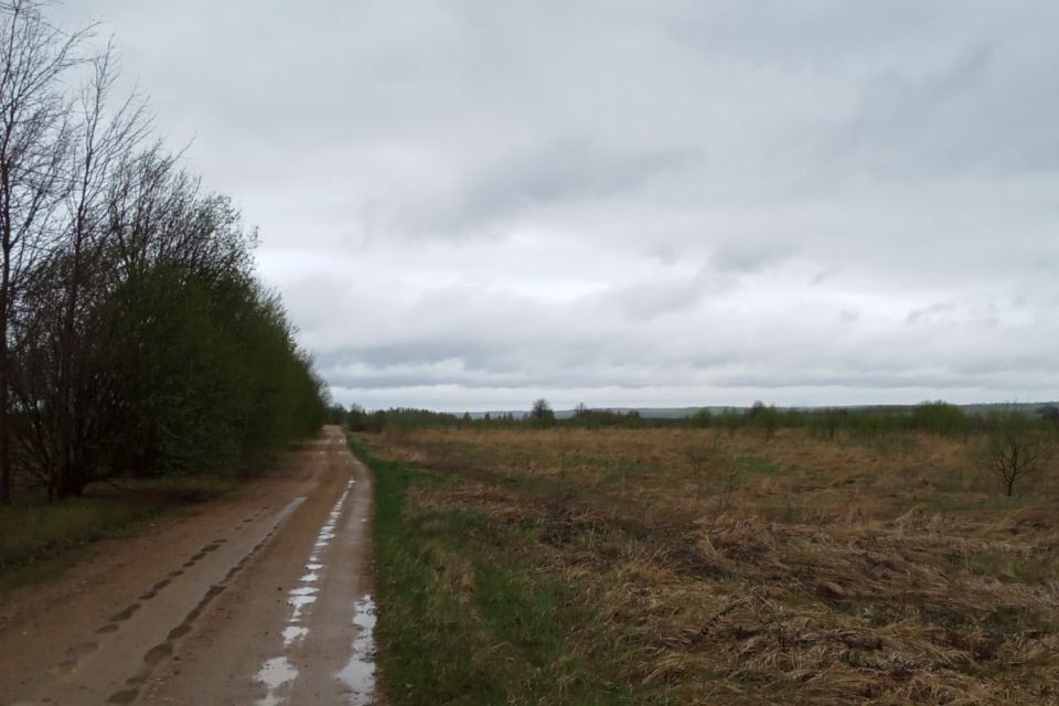 земля р-н Смоленский населенный пункт Верхние Доманичи фото 3