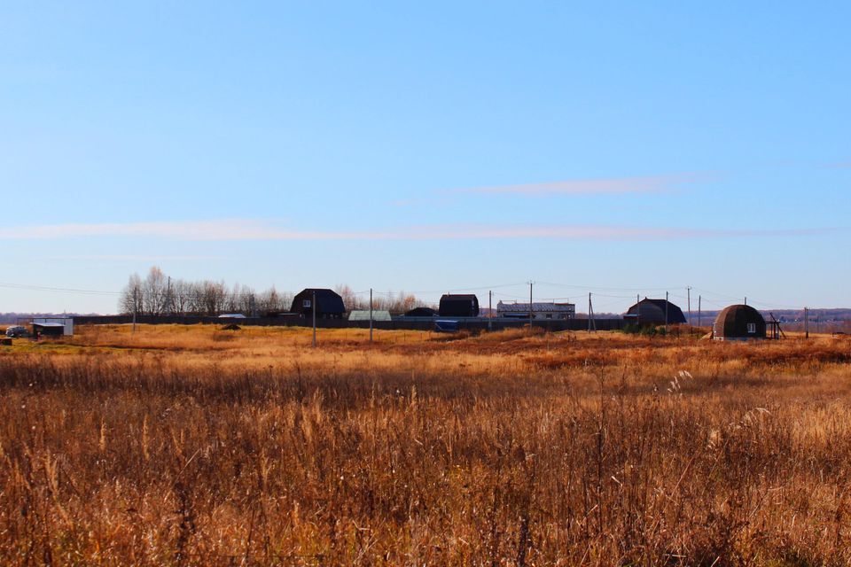 земля р-н Смоленский деревня Кощино-1 фото 4