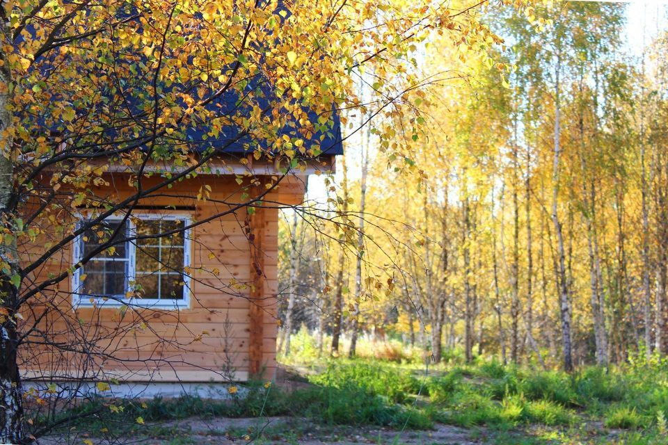 земля р-н Смоленский населенный пункт Верхние Доманичи фото 1