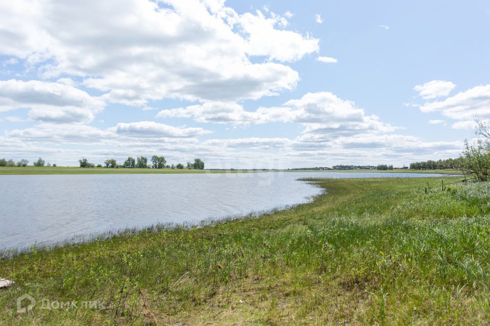 земля р-н Тобольский деревня Сабанаки фото 4