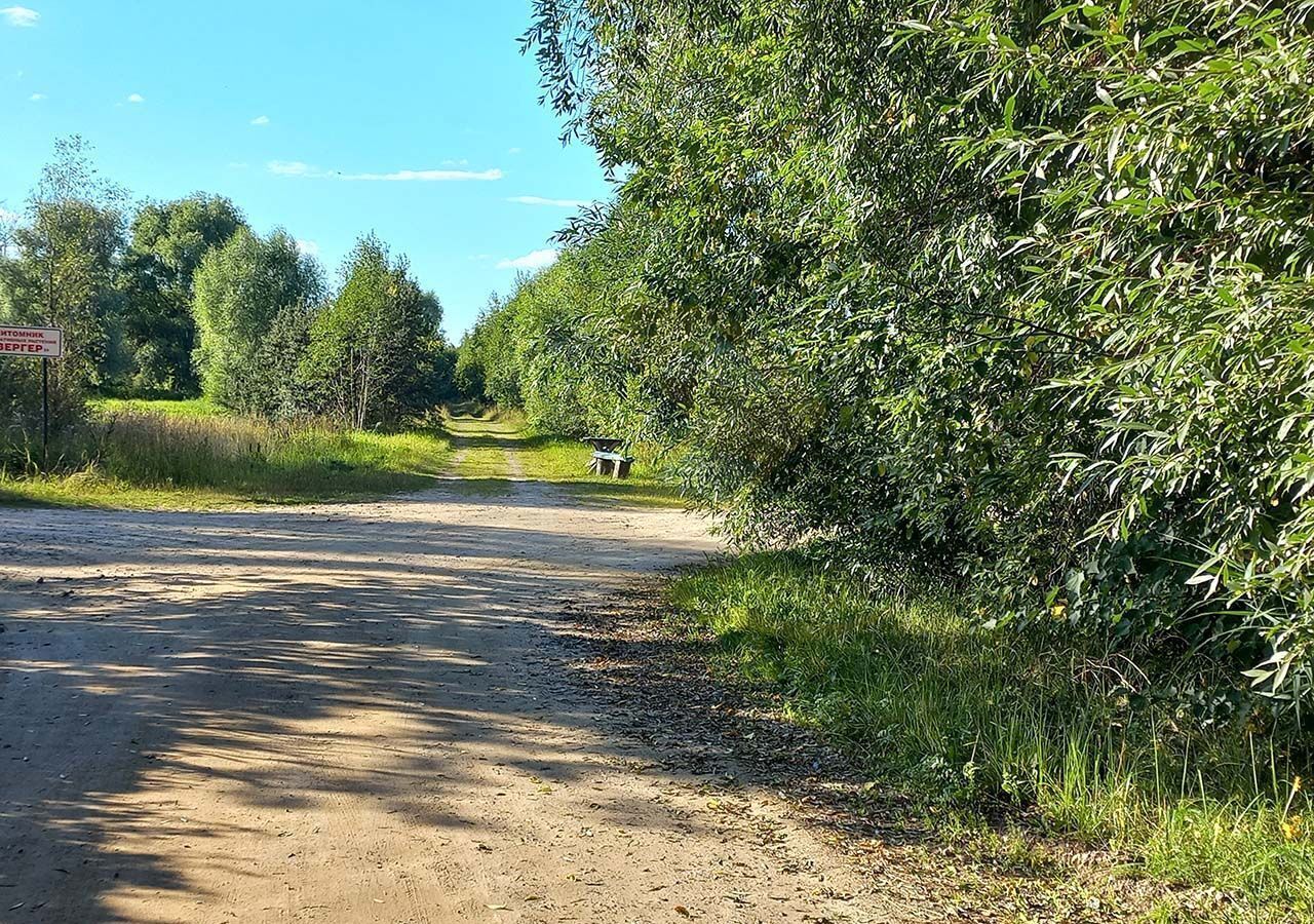 земля городской округ Дмитровский с Чернеево 9794 км, Рогачево, Рогачёвское шоссе фото 10