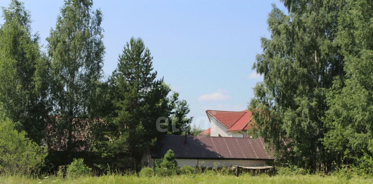 земля р-н Шекснинский д Панфилово с пос, 2, Никольское фото 4