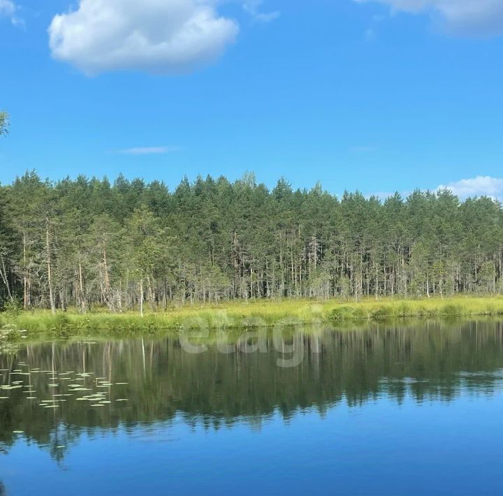 земля р-н Белозерский г Белозерск с. Деревня Великое фото 7