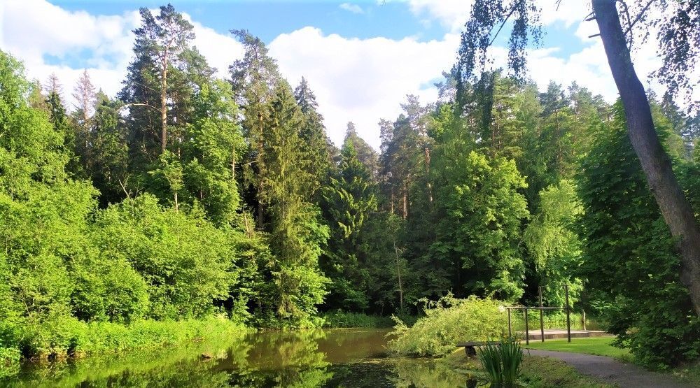 дом городской округ Красногорск п Инженерный 1 Аникеевка фото 15