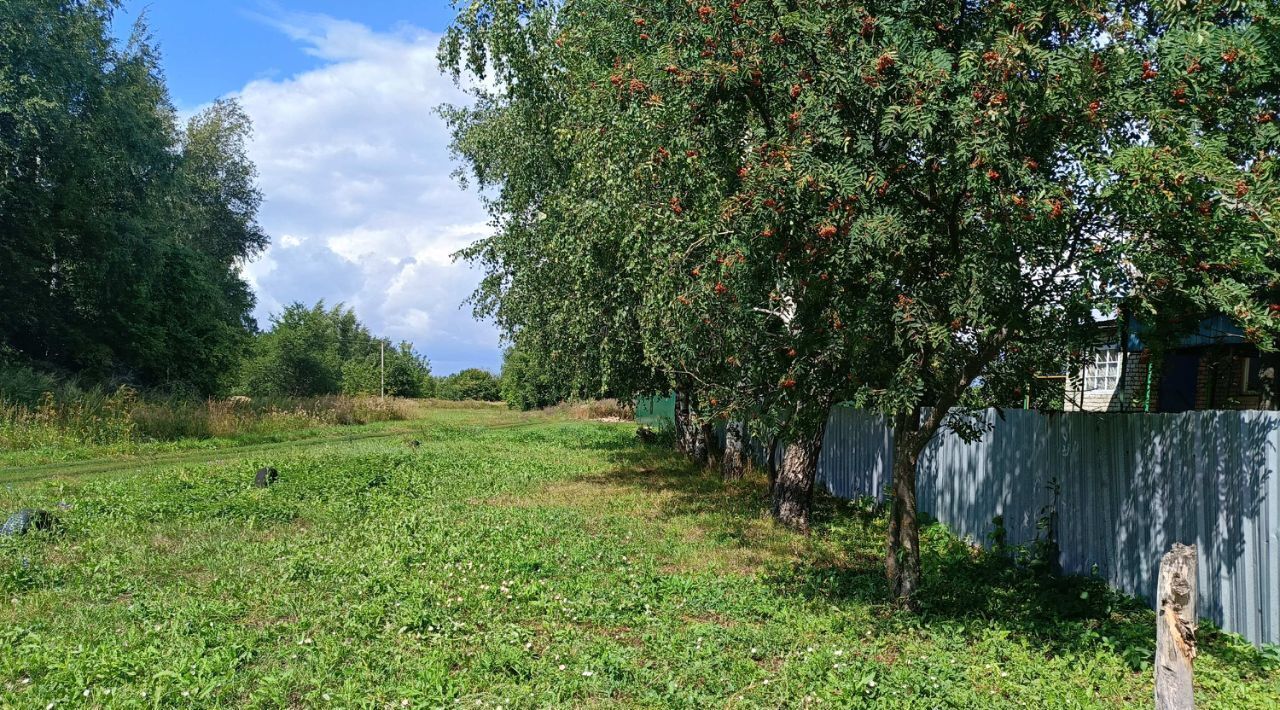 дом р-н Скопинский с Петрушино ул Заречная 12 с пос, Горловское фото 2