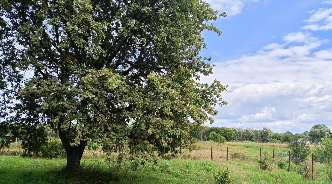 дом р-н Скопинский с Петрушино ул Заречная 12 с пос, Горловское фото 14