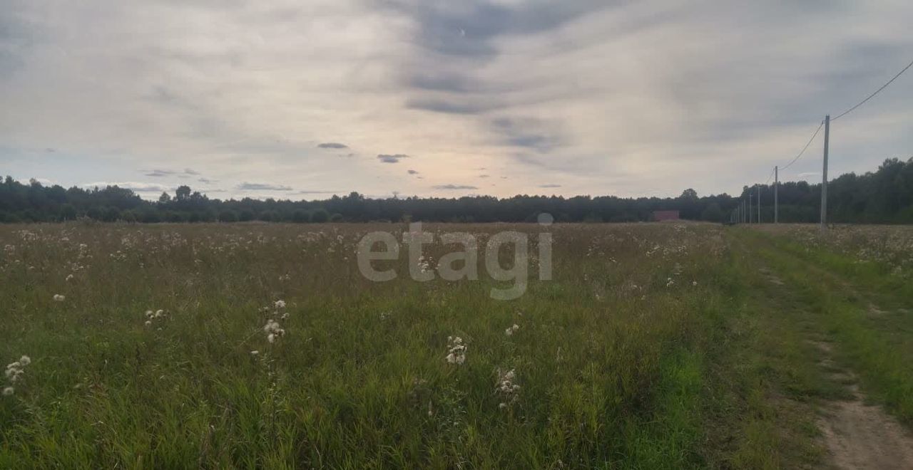 земля городской округ Сергиево-Посадский 81 км, территория ДНП Александровка, 40, Богородское, Дмитровское шоссе фото 5