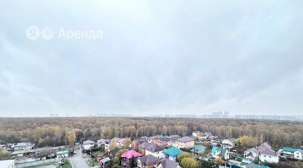 квартира городской округ Ленинский п Развилка пр-д Римский 1 Домодедовская фото 13