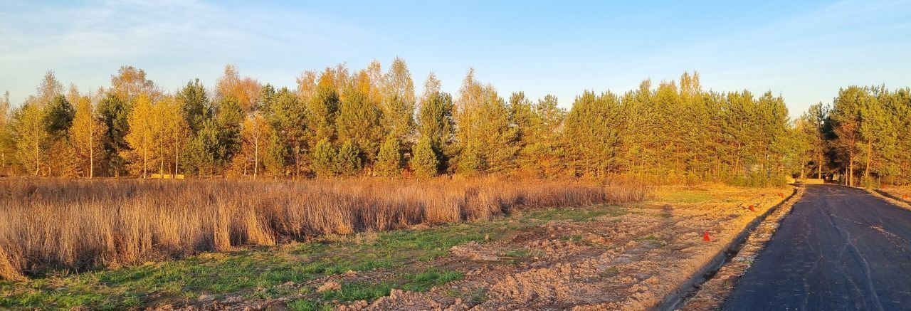 земля городской округ Пушкинский с Братовщина 166 фото 2