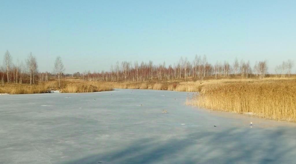 офис городской округ Серебряные Пруды с Красное фото 11