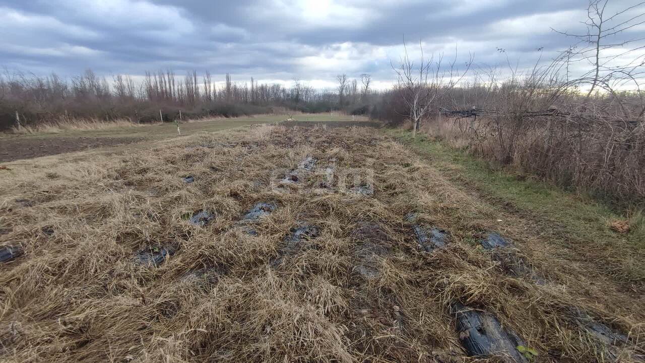 земля р-н Нижнегорский с Двуречье с. Акимовское с. п., Садовая, Симферополь фото 14