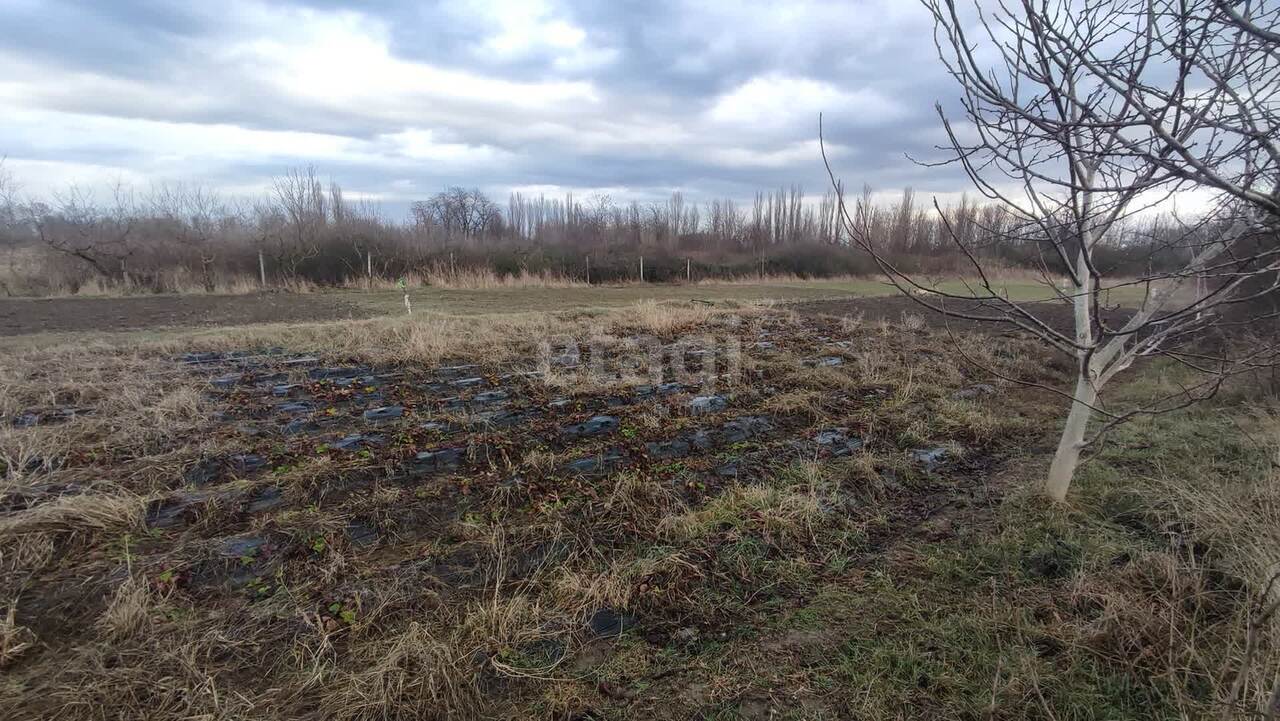 земля р-н Нижнегорский с Двуречье с. Акимовское с. п., Садовая, Симферополь фото 11