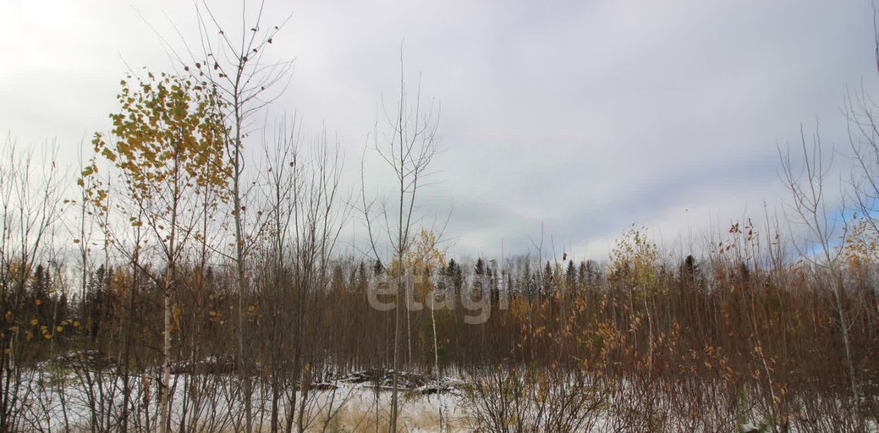 земля р-н Пригородный с Николо-Павловское ул Александровская фото 6