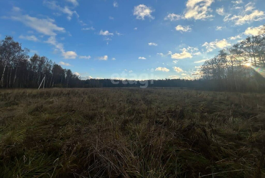 земля городской округ Серпухов д Райсеменовское фото 2