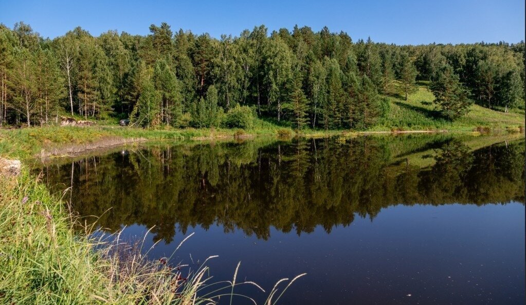 земля р-н Емельяновский с Талое ул Полевая фото 20