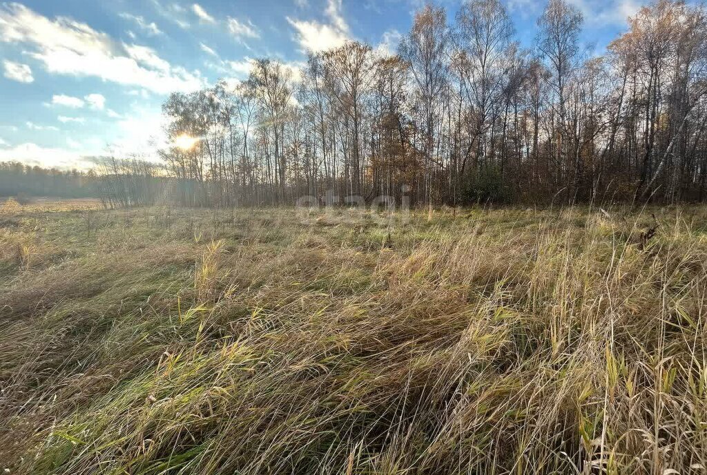 земля городской округ Серпухов д Райсеменовское фото 6