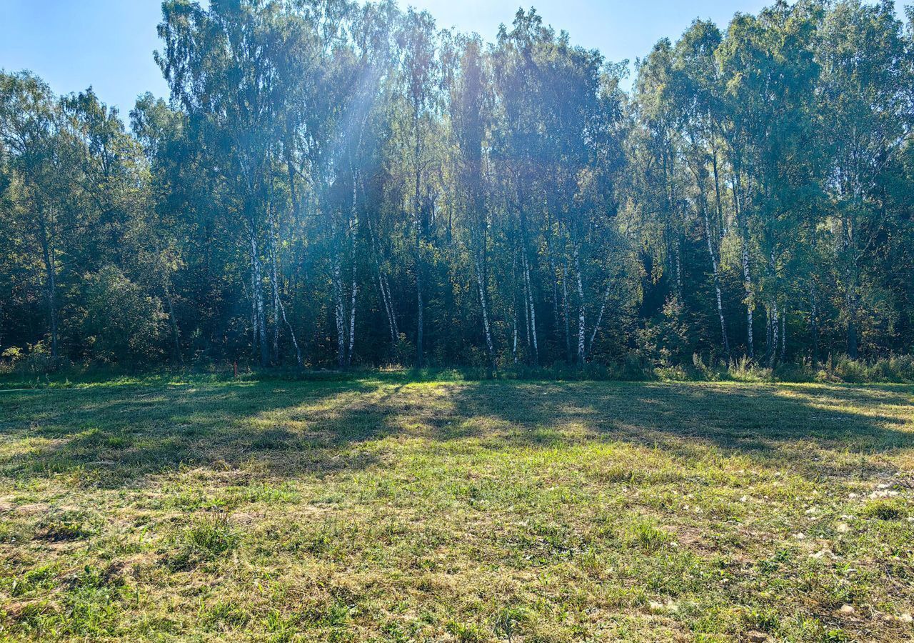 земля городской округ Подольск 13 км, д. Холопово, Варшавское шоссе фото 2