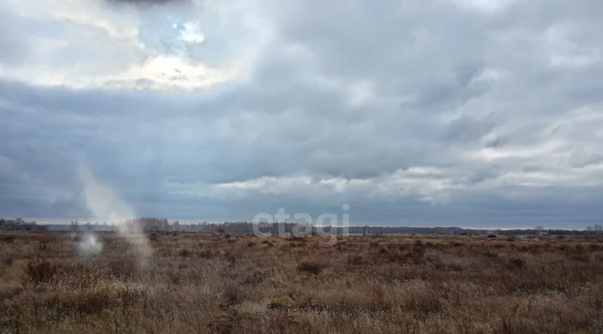 земля р-н Омский с Усть-Заостровка ул Заозерная Усть-Заостровское сельское поселение фото 2