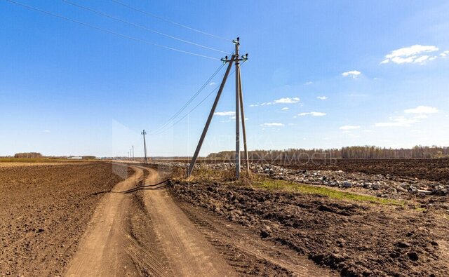 Туринская Слобода фото