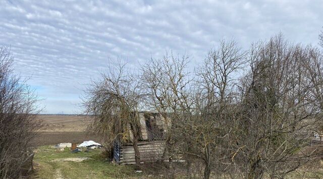 Сяськелевское с/пос, Проспект Ветеранов фото