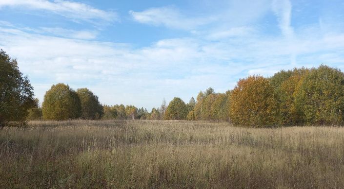 офис городской округ Дмитровский д Богданово фото 1