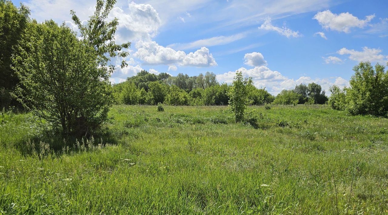 офис городской округ Луховицы д Гольный Бугор фото 2