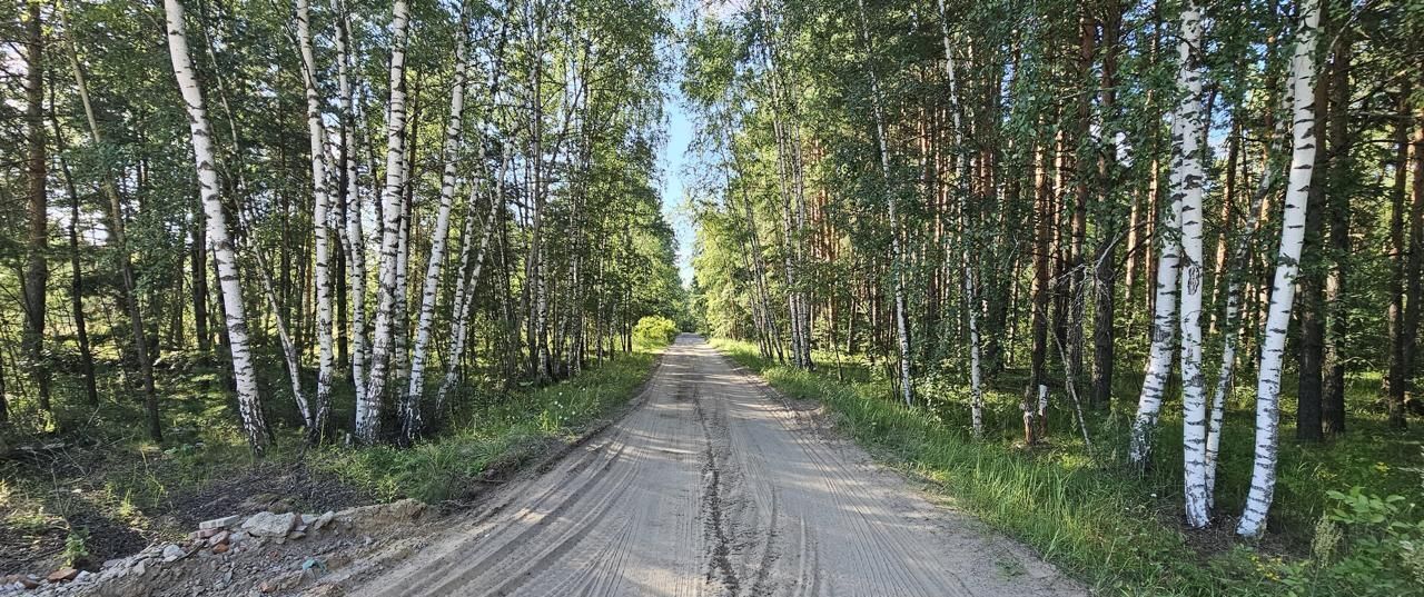 земля городской округ Богородский г Электроугли мкр Светлый 20 км, Носовихинское шоссе фото 12